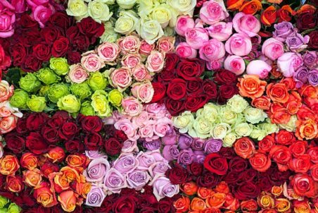 قیمت گل در آستانه روز زن