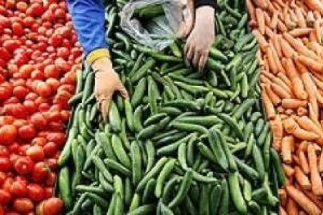 علت گرانی خیار