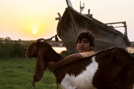 «یدو» رکورددار نامزدی بیشترین جوایزِ جشنواره فیلم فجر