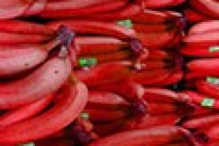 موز قرمز کیلویی، ۱۸۳هزار تومان!