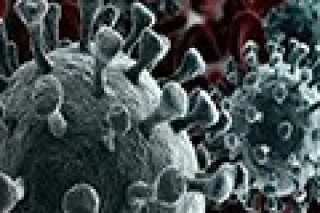 مینو محرز: ورودی بیمارستان‌ها افزایش یافته است