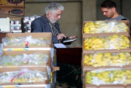 خیار ارزان شد/ نرخ هر کیلو موز داخلی ۱۸ هزار تومان