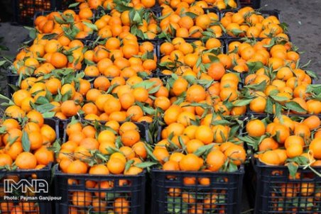 قیمت میوه و تره بار در بازار امروز ۳۰ بهمن‌ماه + جدول