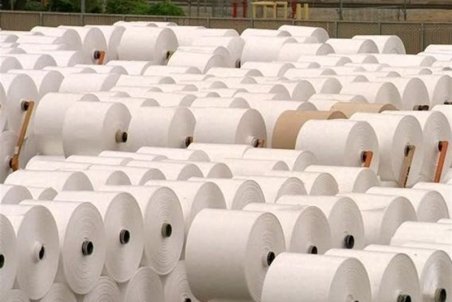 کاغذ هم‌چنان گران است/ نگرانی ناشران از افزایش قیمت کتاب