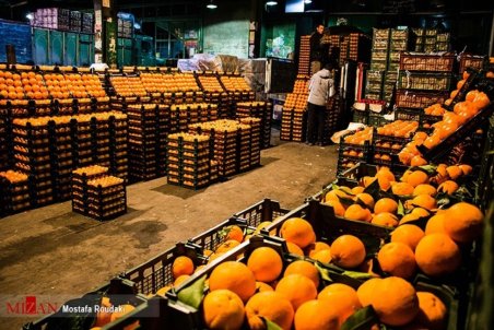 پیش‌بینی ثبات قیمت سیب و پرتقال در آستانه نوروز ۱۴۰۰