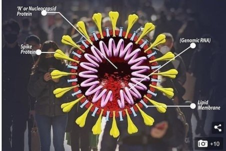 مردم یزد مراقب افزایش آمار مبتلایان کرونای انگلیسی باشند