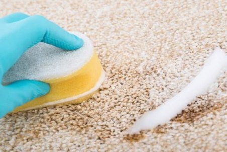 قیمت انواع شامپو فرش در بازار چقدر است؟