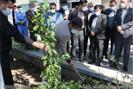 کارکنان زاگرس جنوبی با کاشت ۱۰۰۰ اصله نهال در روز درختکاری به استقبال بهار می‌روند