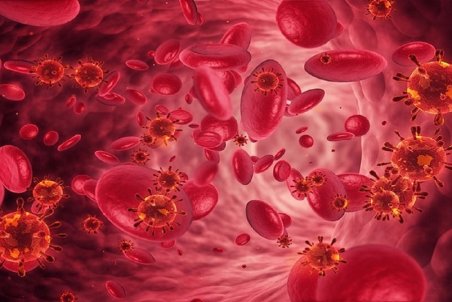 علل و درمان کم خونی/ آهن خون را چگونه تنظیم کنیم؟