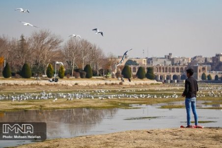 محمدی: تبعات اجتماعی خشکی زاینده‌رود، متوجه استان‌های همجوار اصفهان می‌شود