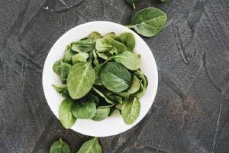 آموزش چگونگی کاشت و پرورش اسفناج