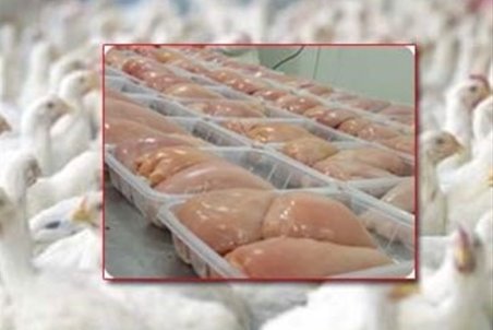 مشکلی برای تامین گوشت مرغ در آذربایجان‌غربی وجود ندارد