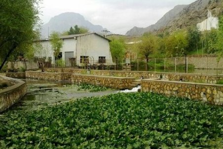 سراب نیلوفر خرم آباد ثبت ملی شد