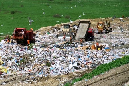 فیلمی اسفناک از تبدیل زیستگاه آهوان به گورستان زباله