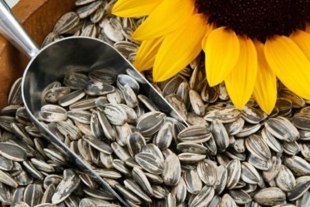 تخمه هم به جمع تنقلات لوکس پیوست