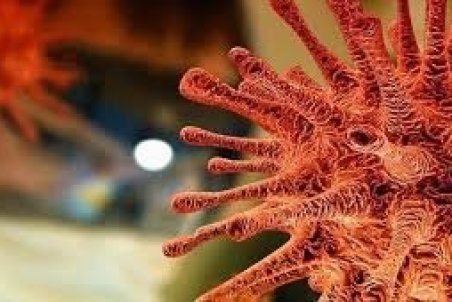 طول دوره بیماری "کرونای انگلیسی" چند روز است؟