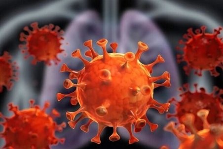 ۱۹۰ نفر دیگر در جنوب خوزستان به کرونا مبتلا شدند