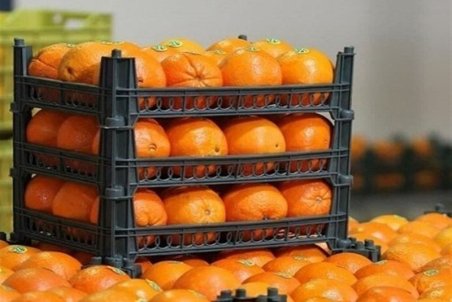 فراوانی محصول علت کاهش ۳۰ درصدی قیمت میوه در یزد شد