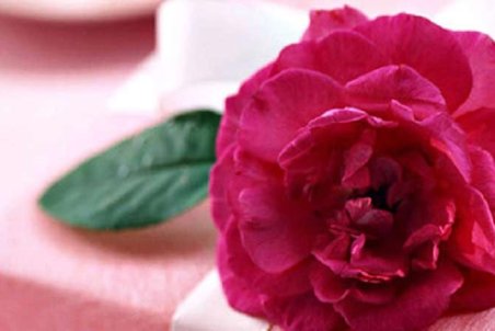 متن زیبا برای روز معلم ۱۴۰۰ کوتاه + متن پیامک