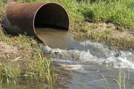 آبیاری محصولات کشاورزی در شرق اصفهان با پساب صحت ندارد