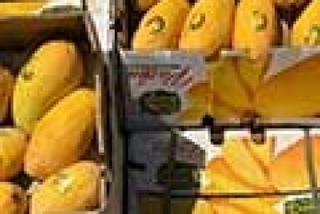 قاچاق انبه با هواپیما؛ هر عدد ۶۰هزار تومان شد!