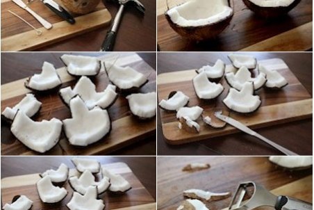 دو روش تهیه مربای نارگیل