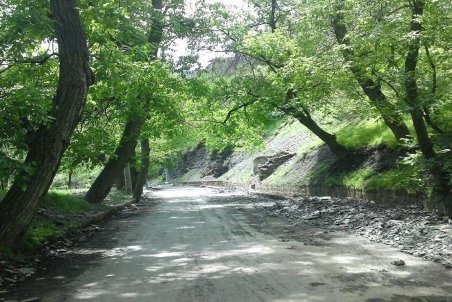 آیا ورود به طرقبه و شاندیز در ایام عید فطر ممنوع است؟