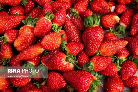 از خواص توت‌فرنگی غافل نشوید