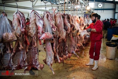 قیمت گوشت چگونه کاهش می‌یابد؟