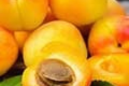 حداکثر قیمت هر کیلو زردآلو؛ ۵۵هزار تومان