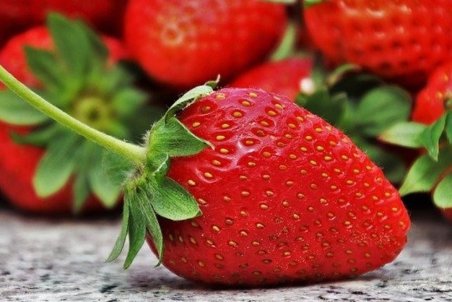 خواص بی نظیر توت فرنگی؛ از کاهش التهابات بدن تا جلوگیری از بروز سکته مغزی و حمله قلبی