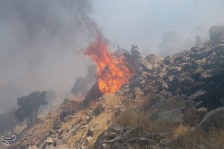 آتش در ارتفاعات باشت مجدد شعله‌ور شد/عملیات مهار حریق به سختی در حال انجام است