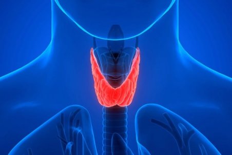 12 علائم تیروئید پرکار و کم کار با عوارض و روش درمان