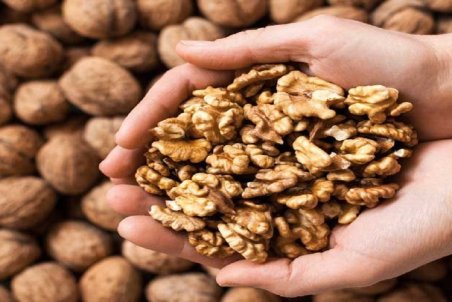 خواص بی نظیر گردو؛ از کاهش خطر سکته مغزی تا جلوگیری از بروز چین و چروک در پوست