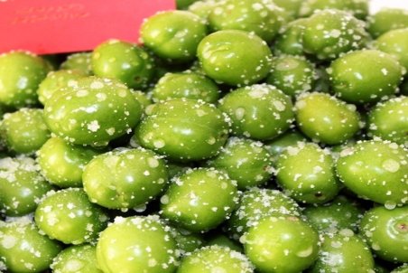 گوجه سبز؛ نوبرانه ای با مواد مغذی فراوان