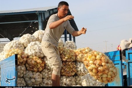 کرایه سرسام آور کامیون انتقال و فروش محصولات کشاورزی در تهران را از صرفه انداخت