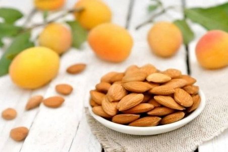 خواص حیرت‌انگیز مغز هسته زردآلو