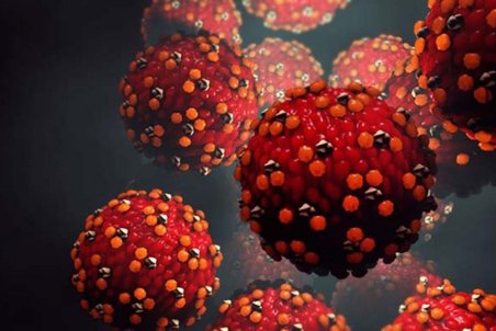 چرا سرخک در برخی از استان‌های کشور شیوع پیدا کرد؟