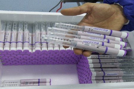 دلیل کمبود انسولین، قاچاق نیست