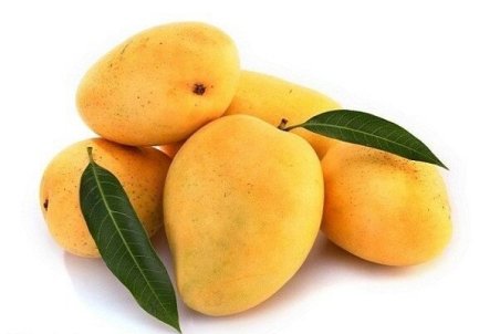 خواص انبه در حفظ سیستم ایمنی و کمک به کاهش وزن