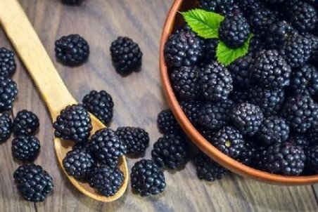 خواص توت سیاه و برگ توت سیاه برای دیابت و کلسترول