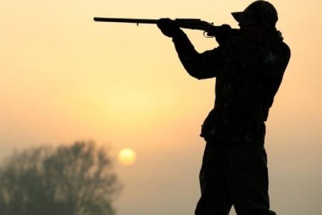 کشف ۱۲ هزار وسیله شکار از شکارچیان غیرمجاز؛ دستگیری متخلفان محیط زیست ۲۰ درصد افزایش یافت