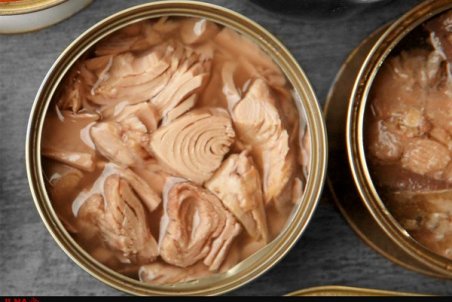 گران شدن تن ماهی قطعی است/ افزایش ۱۵ درصدی از ماه آینده