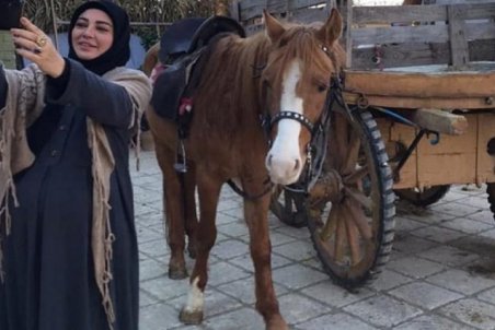 سریال کلبه‌ای در مه امشب پخش نمی‌شود