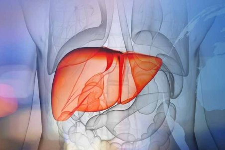 پیوند؛ پایانی تلخ برای بیماران مبتلا به کبد چرب/ سلامت دستگاه تصفیه بدن را چگونه تضمین کنیم؟