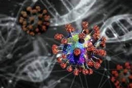 در خصوص بیماری قارچ سیاه چه می‌دانید؟