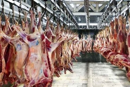 کاهش قیمت گوشت کاذب است