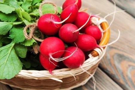 چه کسانی نباید تربچه بخورند؟