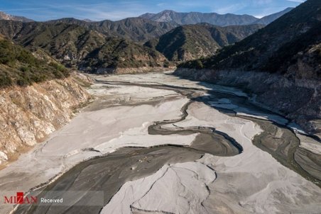 رئیس اتحادیه بارفروشان تهران: باید باغات را قطره‌ای کنیم