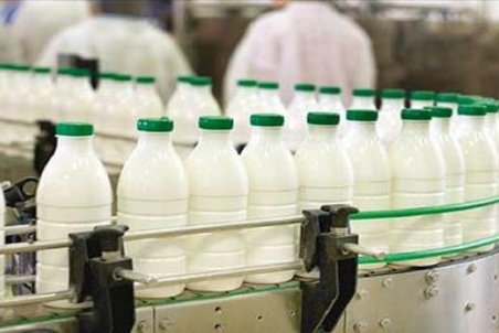 جزئیات افزایش قیمت شیر خام/ محصولات لبنی چقدر گران می شود؟